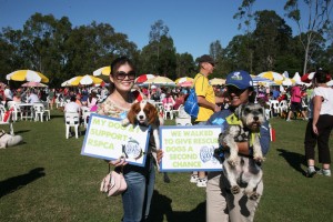 Supporter Poster