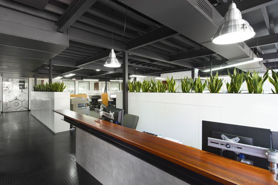 The story behind The Old Boot Factory Westender