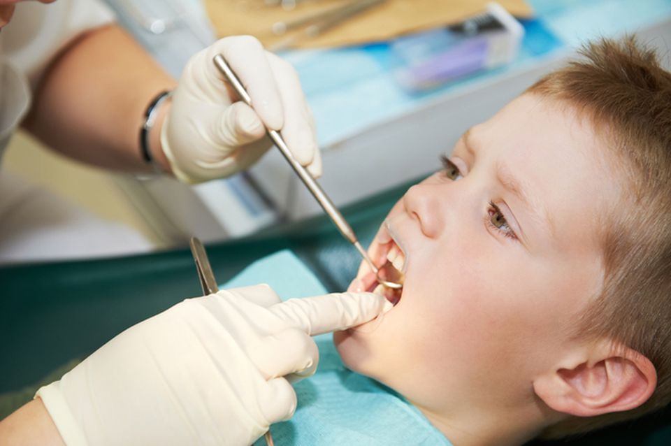 Peak body wary of holes in Govt dental plan