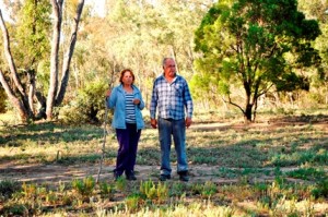 toobeah-reserve-camp