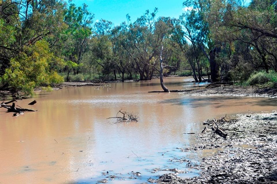 Dancing again in Goondiwindi