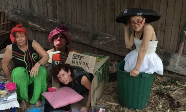 Locked out of the housing market?  – welcome to Serf City