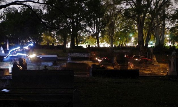 New life at South Brisbane Cemetery