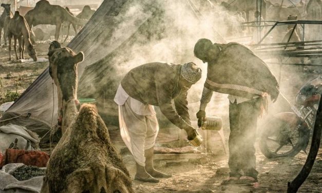 Gabba Travel Photographer Is Australia’s Best