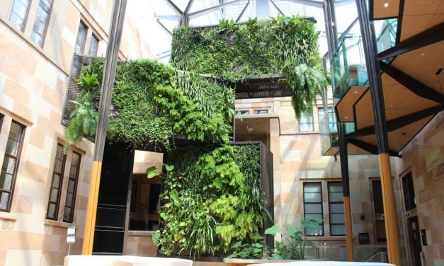 Green walls add to learning outcomes