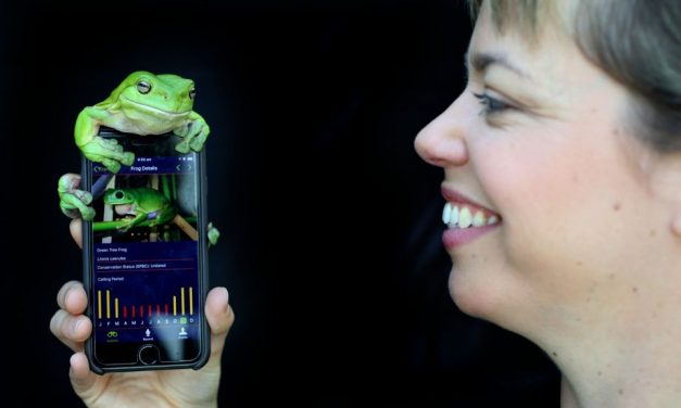 Help save frogs with your phone