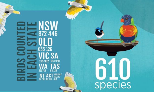 2018 Aussie Backyard Bird Count Results