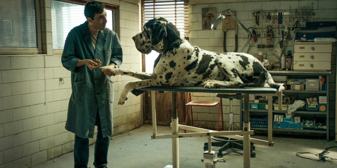 Film Review: ‘Dogman’ Works Hard to Maintain its Humanity