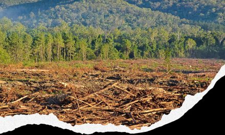 On track for a ghastly future – experts’ grim prognosis for the planet