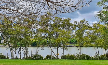 The loss of our urban green spaces may cost us more than we think