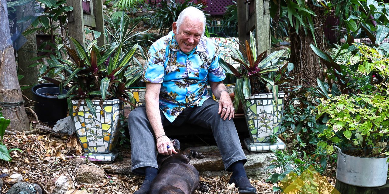 Glenn Cooke – curator, collector, gardener