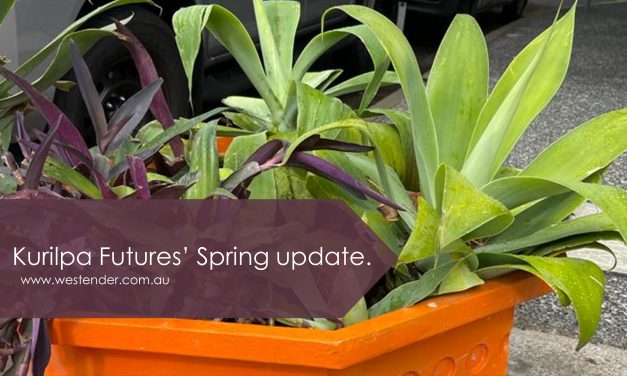 Kurilpa Futures Spring update