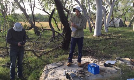 Latest study takes aim at Bravus [Adani] coal mine