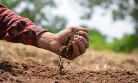 Know thy soils, by Gavin Hardy