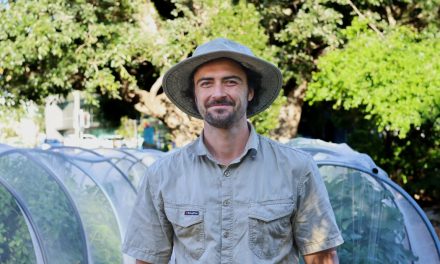 Jane Street Community Garden – Autumn update.