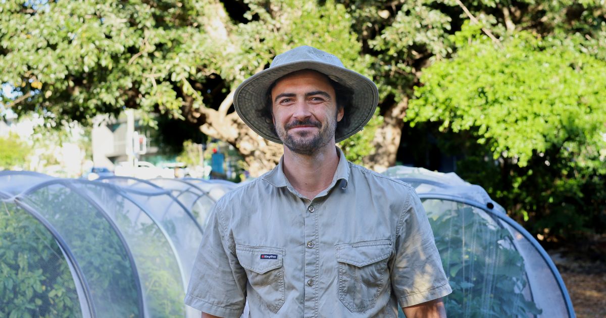 Jane Street Community Garden – Autumn update.