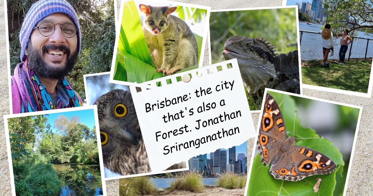 OPINION: Brisbane – The city that’s also a forest.