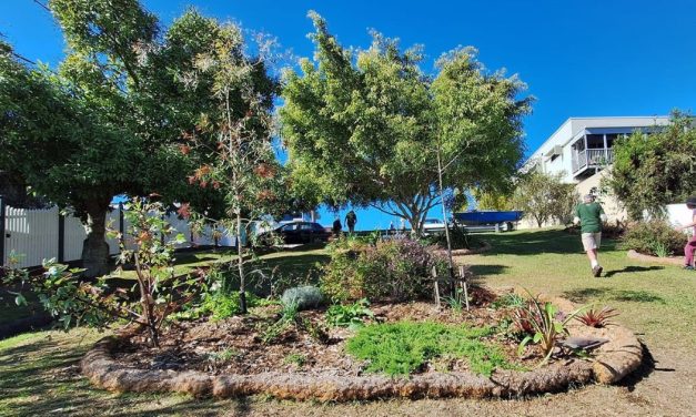 Beaconsfield Reserve flourishes with Queen’s Platinum Jubilee planting.