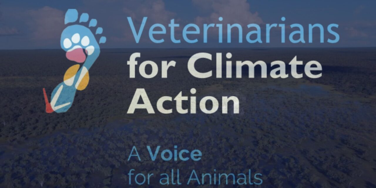 Aussie vets working with Indian colleagues to tackle climate change