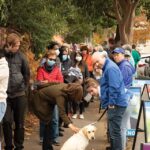 The environment is among top 5 issues on the minds of voters – new report